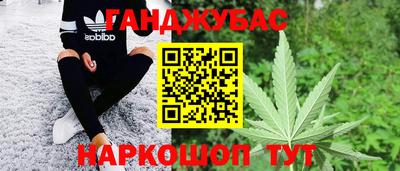 шишки Кандалакша