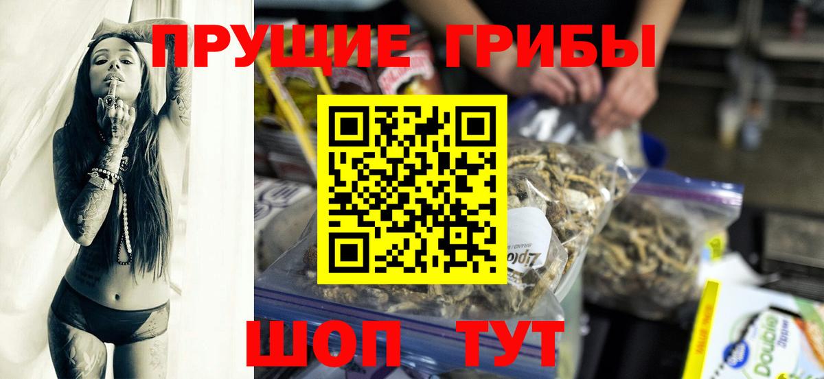 Кстово  Псилоцибиновые грибы MAGIC MUSHROOMS  где купить наркотик  Вход с VPN 