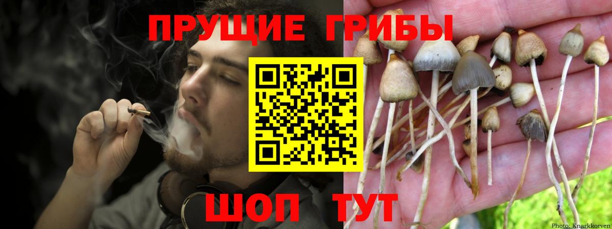 Галлюциногенные грибы GOLDEN TEACHER Кстово